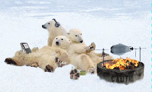 Polar-Bear-BBQ-Penguin