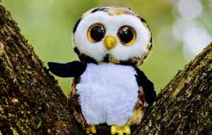 cute toy outdoors owl