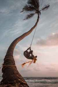 low angle shot of a person swinging on a rope tied to coconut tree